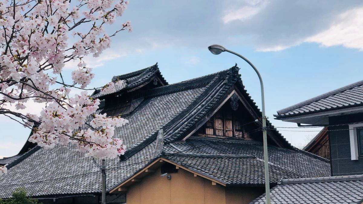 日本高度經(jīng)營管理簽證的優(yōu)勢